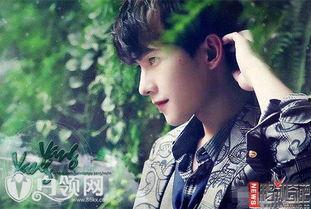 杨洋圈内爆料天涯视频,揭秘天涯视频背后的惊人真相  第3张