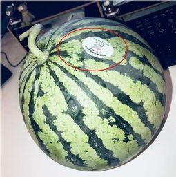 网红今日吃瓜,揭秘娱乐圈最新热点事件 第3张 网红今日吃瓜,揭秘娱乐圈最新热点事件 第3张